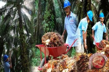 4.000 Karyawan PT Globalindo Masuk BPJS Ketenagakerjaan 