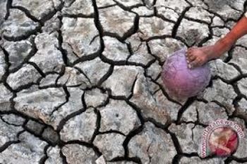 Kupang City Continues To Reel Under Water Crisis 