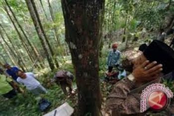 Pantau REDD + Berharap Masyarakat Dilibatkan
