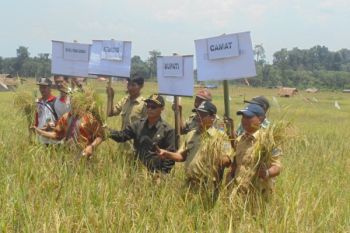 Bupati: Cetak Sawah Baru Tingkatkan Swasembada Pangan