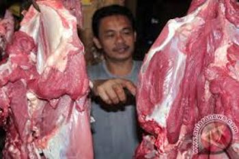 Daging kerbau beku dari India sebanyak 56 ton akan masuk ke pasar Sumatera Utara