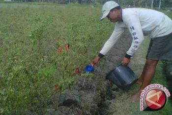 DIY berupaya tingkatkan perekonomian kawasan pantai selatan 