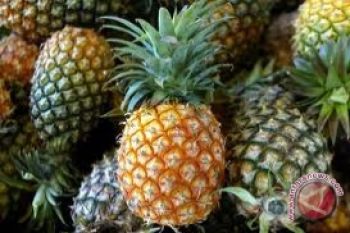 GGPC Produksi Nenas Kaleng 530.000 Ton