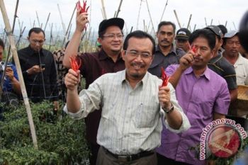 Suswono Ajak Petani Tanam Cabai