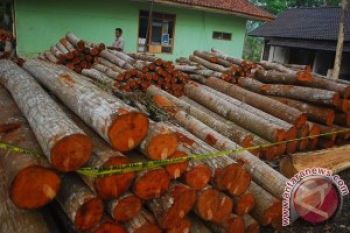  450 Ton Kayu Ilegal Cagar Biosfer Disita Satgas
