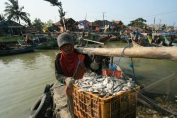 Cuaca Membaik, Hasil Tangkapan Ikan Nelayan Melimpah
