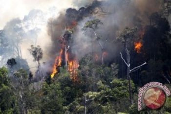 BNPB: Kebakaran Lahan Merata di ASEAN