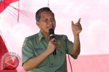 Wabup Mamuju ajak petani gunakan metode baru 