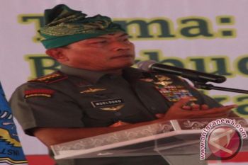 Panglima TNI: jangan ganggu stabilitas negara