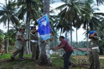 Penertiban Peraga Kampanye/Zam Jambak