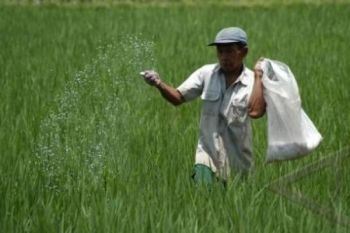 Tunjuk Distributor Baru, Kelangkaan Pupuk di Kudus Teratasi
