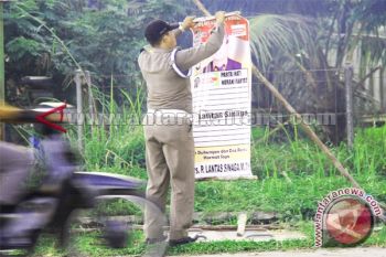 Pemilu - Penertiban APK Di Bawah Guyuran Hujan Deras 