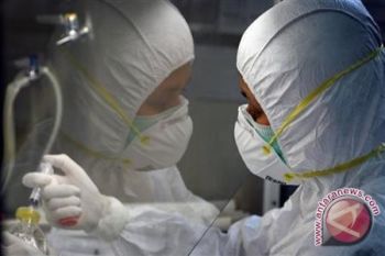 Bakteri Alteromonas Bisa Telan Karbon Banyak