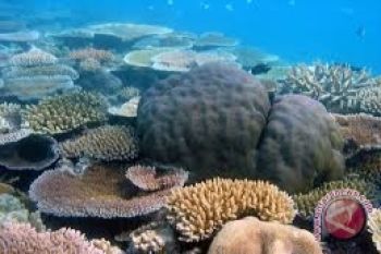 Gubernur Sulut promosikan WCRC di Myanmar