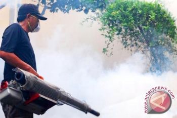 Dinkes Kotim Gencar Cegah Wabah Demam Berdarah