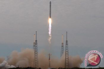  Astronot Bisa Berkebun Di Luar Angkasa
