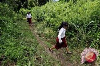 Sekolah Gratis Itu Berdiri Di Pingggir Hutan 