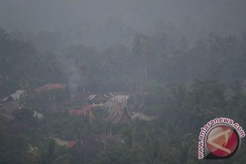 Dari 14 Titik Panas di Sumatera, LIma Titik di Riau