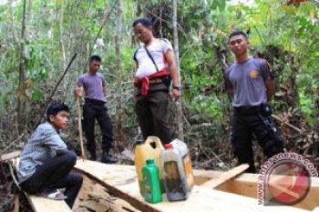 Tim Gabungan Selidiki Dugaan Oknum Aparat Kuasai Hutan