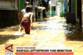 Awas, Kencing Tikus Tewaskan Lima Warga Boyolali