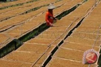 Penggugat PT Gudang Garam Gantian Absen di Pengadilan