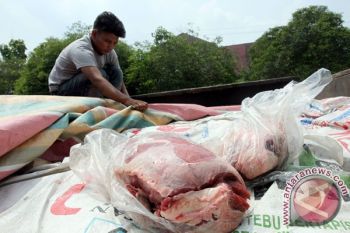  Kementan Akui Sulit Melacak Dalang Peredaran Daging Celeng 