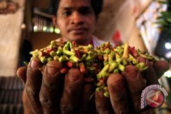 Petani harap harga cengkih terus naik