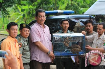 Taman Wisata Lembah Hijau Rawat Satwa Langka