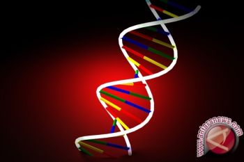  Ilmuwan Buat Sel Hidup Pertama Dengan DNA Asing