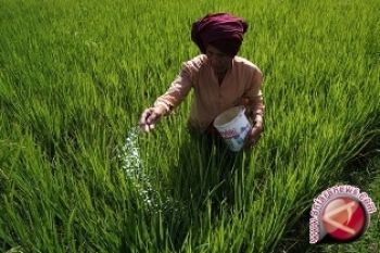 Sulut Fokus Tingkatkan Produksi Komoditas Unggulan Nasional