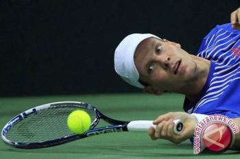  Berdych Akan Bermain Di Piala Davis Lawan Prancis