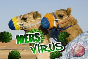 Tiga Jamaah Haji Kotawaringin Timur Negatif Mers 
