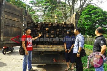 Polres Kotim Amankan Ratusan Batang Kayu Ulin Ilegal 
