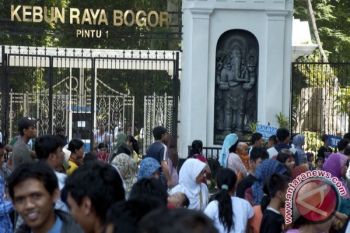 Kebun Raya Bogor Berusia 197 Tahun