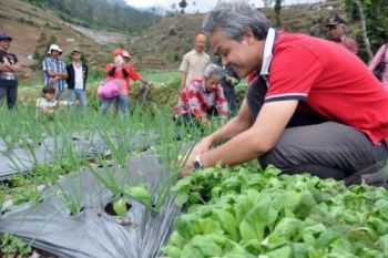 Ratusan Petani Tagih Janji Gubernur Penuhi Pupuk Bersubsidi