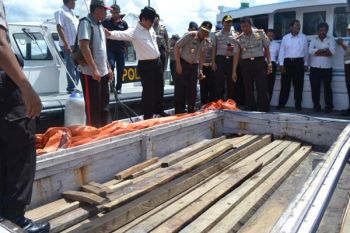 Polda Sultra Tangkap Ratusan Kubik Kayu Illegal