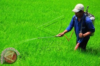 NTP Sulsel 103,93 Persen Pada Desember 