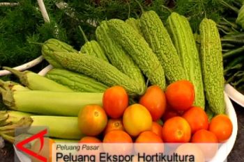 Ekspor Buah &amp; Sayuran Temanggung ke Singapura Melesat