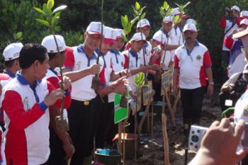Semen Indonesia Sumbang 10.000 Mangrove di Rembang