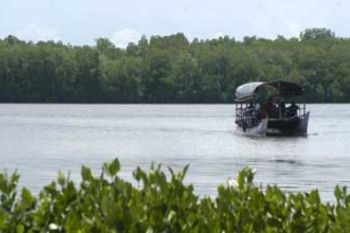 Kawasan Laguna Segara Anakan Kian Menyempit