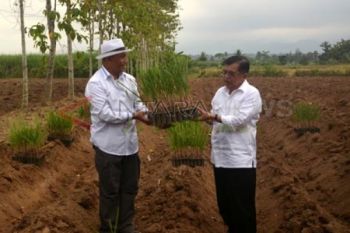 Kampanye Jusuf Kalla