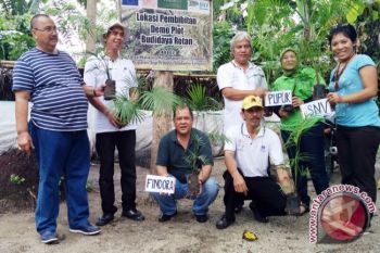 Pupuk Gandeng Findora Kembangkan Rotan Ramah Lingkungan 