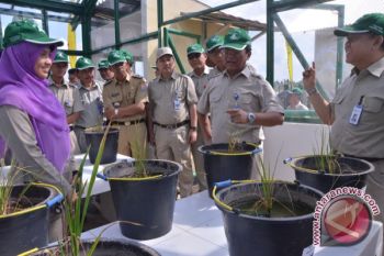 Dirut PT Pusri Palembang resmikan kebun percobaan 