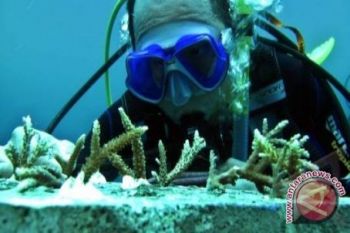 Tiga Penyelam Tewas di Laut Malta