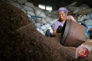 Harga cengkih Sulut Rp95.000/kg