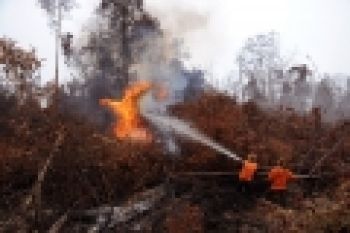 Polda Riau Tetapkan 62 Tersangka Pembakar Hutan