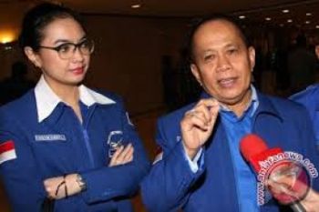 Partai Demokrat Siap Jadi Juru Kampanye Prabowo-Hatta