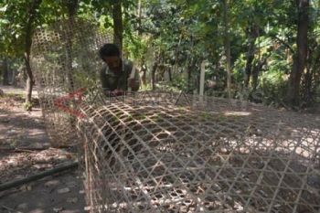 Perangkap Ikan