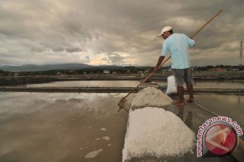 Sering Hujan, Petani Pati Tak Nikmati Harga Garam Mahal