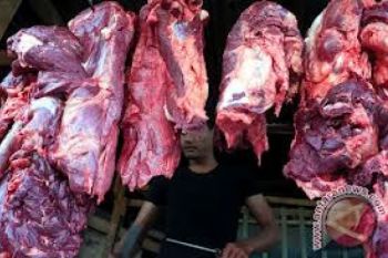 Bulog Siap Penuhi Kebutuhan Daging Sapi